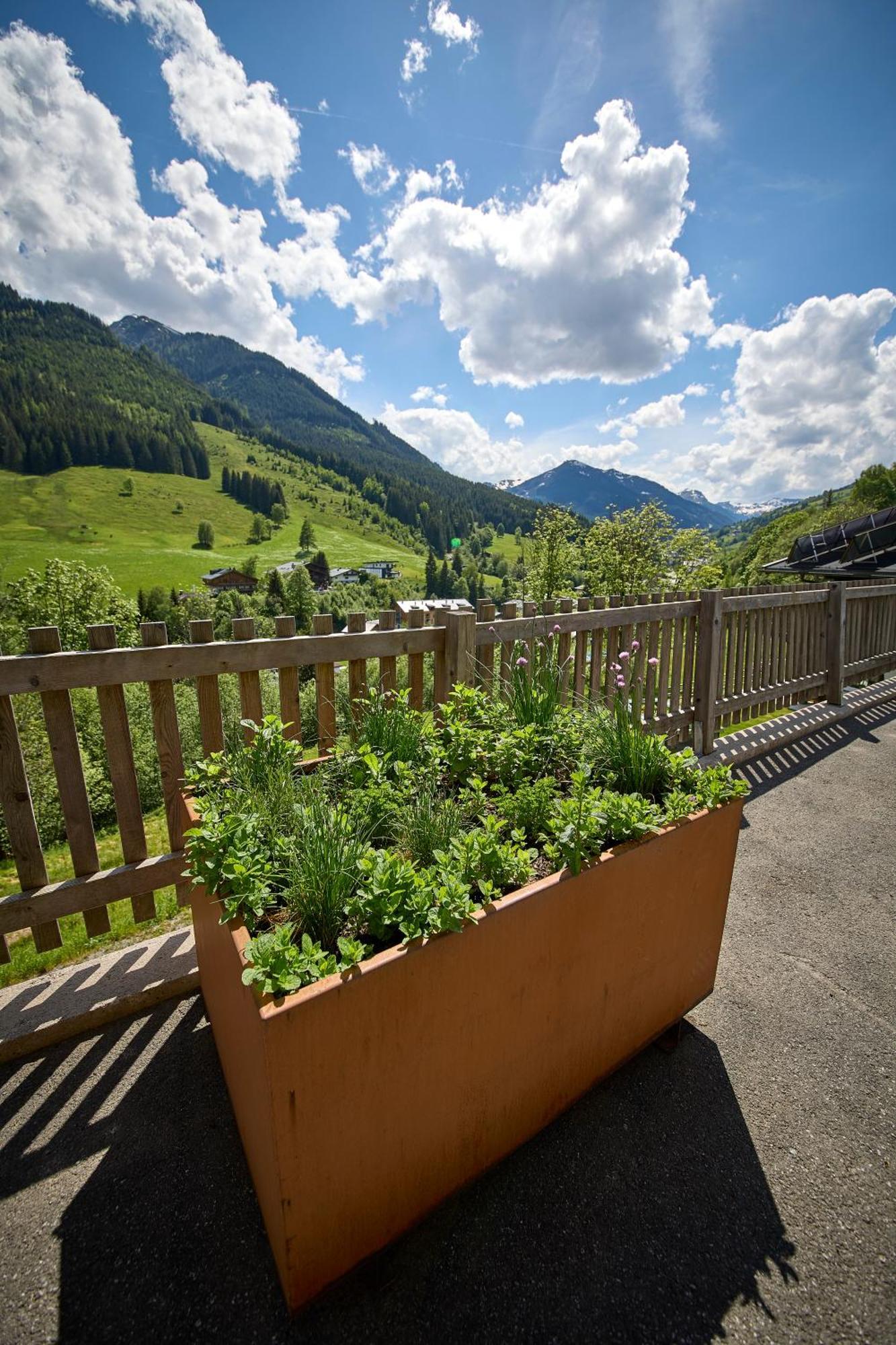 شقة Drei Hittn Saalbach المظهر الخارجي الصورة